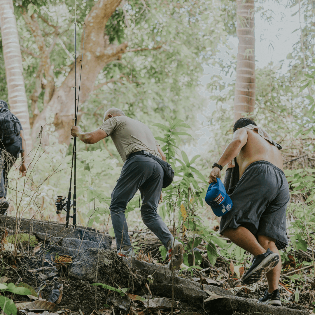 Nature & Hiking Tour – mountains & green valleys